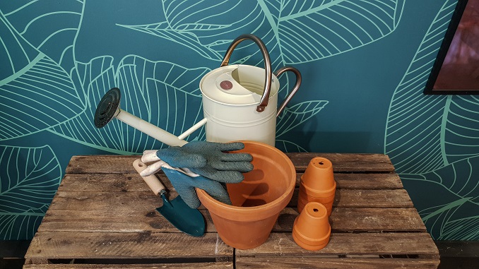 Conseils et astuces pour l'entretien des plantes